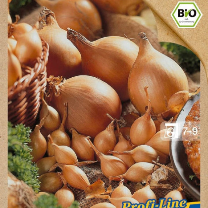 BIO Cibule sazečka Setton - Allium cepa - bio cibulky - 40 ks