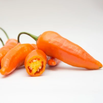 Chilli Aji Amarillo - Capsicum annuum - semena - 7 ks