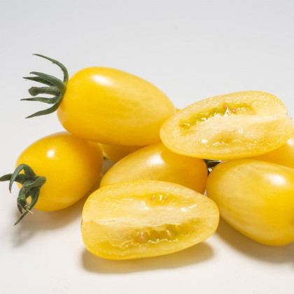 Rajče Dattolime F1 - Solanum lycopersicum - semena - 6 ks