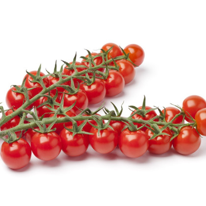 Rajče Gourmelito F1 - Solanum lycopersicum - semena - 6 ks
