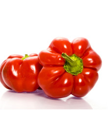 Rajčatová paprika Szuszanna - Capsicum annuum - semena - 7 ks