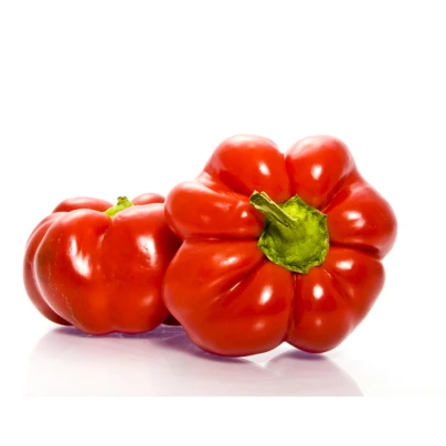 Rajčatová paprika Szuszanna - Capsicum annuum - semena - 7 ks