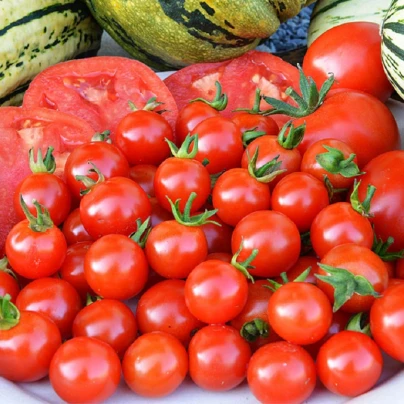 Rajče Sweet Aperitif - Solanum lycopersicum - semena - 6 ks