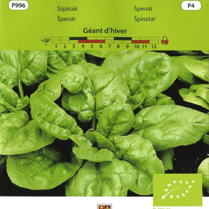 BIO Špenát Geant d'hiver - Spinacia oleracea - bio semena - 10 g
