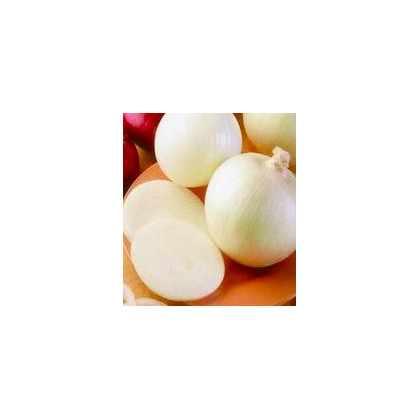 Cibule jarní bílá - lahůdková - Allium cepa - semena - 1 g