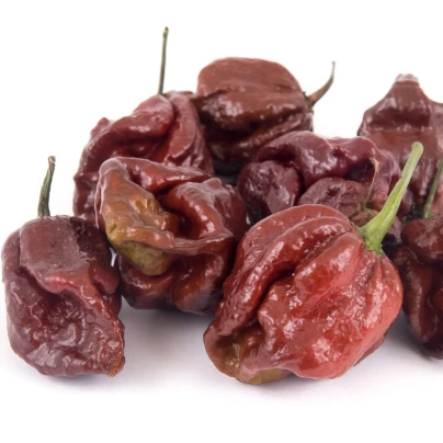 Chilli Trinidad Scorpion Moruga Caramel - Capsicum chinense - semena - 5 ks