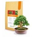 Symbivit Bonsai - mykorhiza pro bonsaje - Symbiom - 150 g