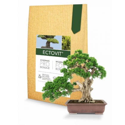 Ectovit Bonsai - mykorhiza pro bonsaje - Symbiom - 100 g
