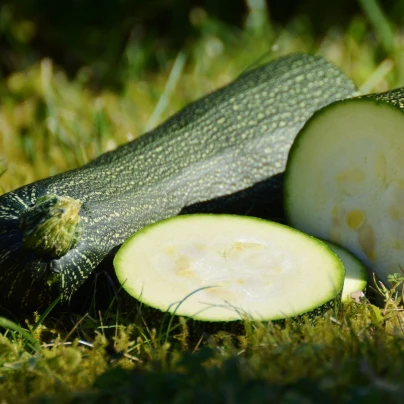 BIO Cuketa Zuboda - Cucurbita pepo - bio semena - 8 ks