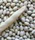 Fazole keříčková Petronila - Phaseolus vulgaris - semena - 50 ks