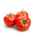 BIO rajčata