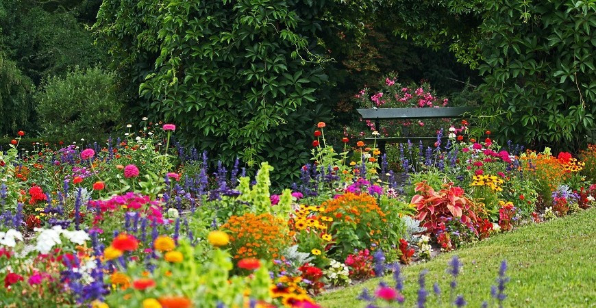 Přilákejte do zahrady včely, čmeláky a motýly kvetoucími rostlinami